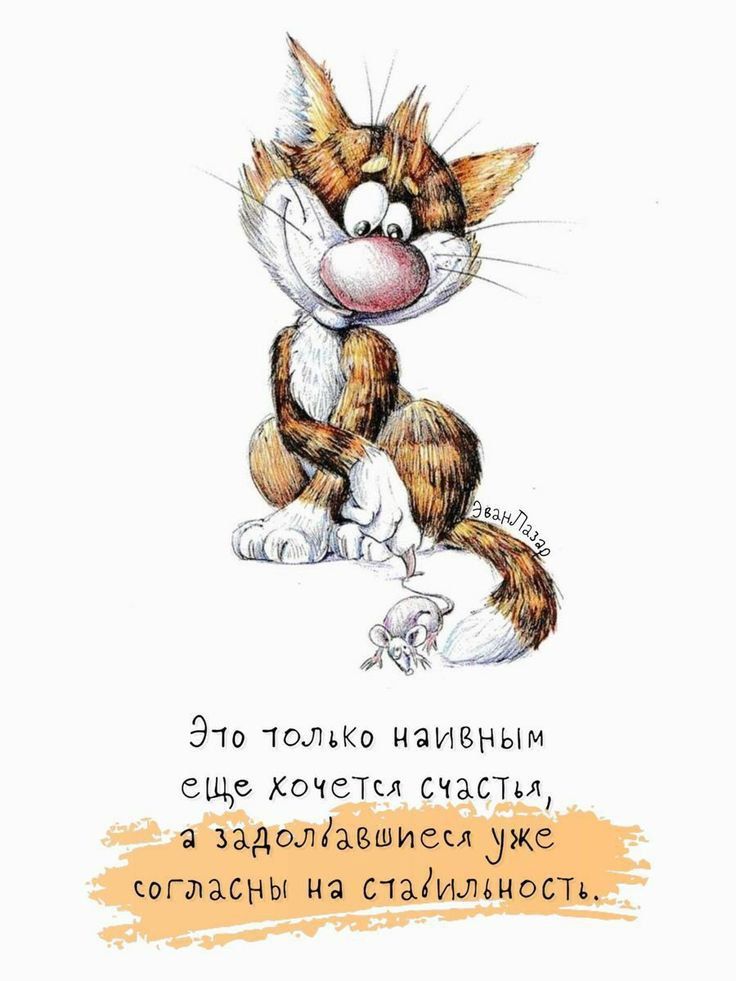Это только наивным еще хочется счастья, а задолбавшимся уже согласны на стабильность.