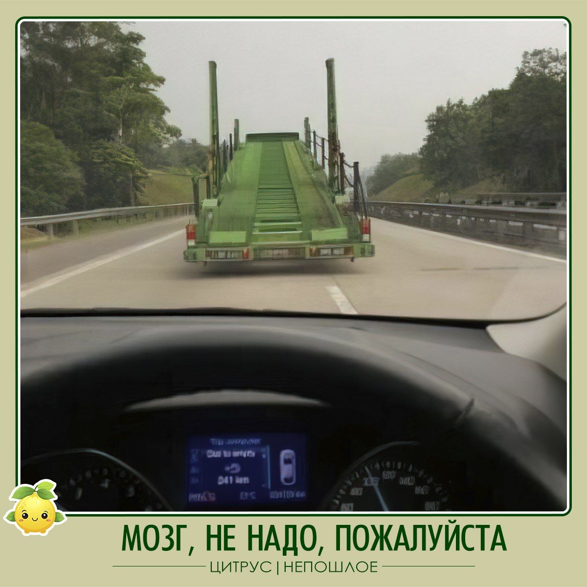 МОЗГ, НЕ НАДО, ПОЖАЛУЙСТА