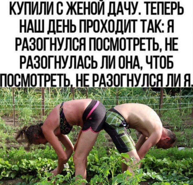 КУПИЛИ С ЖЕНОЙ ДАЧУ. ТЕПЕРЬ НАШ ДЕНЬ ПРОХОДИТ ТАК: Я РАЗОГНУЛСЯ ПОСМОТРЕТЬ, НЕ РАЗОГНУЛАСЬ ЛИ ОНА, ЧТОБ ПОСМОТРЕТЬ, НЕ РАЗОГНУЛСЯ ЛИ Я.