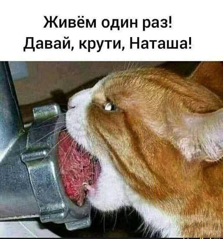 Живём один раз! Давай, крути, Наташа!