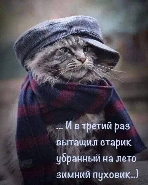 ... И в третий раз вытащил старик убранный на лето зимний пуховик..)