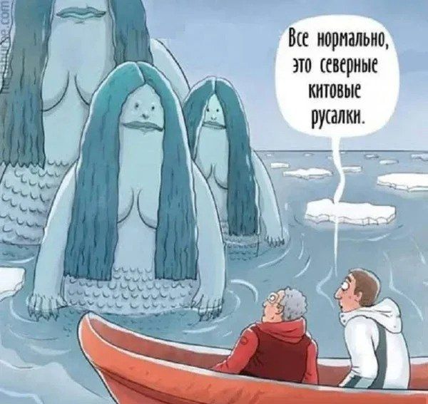 Все нормально, это северные китовые русалки.