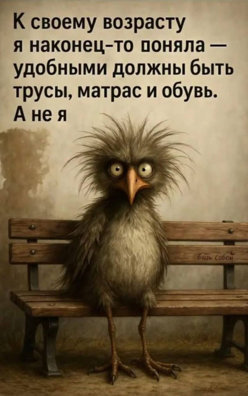 К своему возрасту я наконец-то поняла — удобными должны быть трусы, матрас и обувь. А не я.