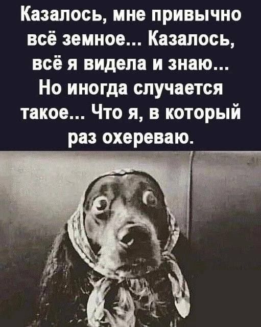 Казалось, мне привычно всё земное... Казалось, всё я видела и знаю... Но иногда случается такое... Что я, в который раз охереваю.
