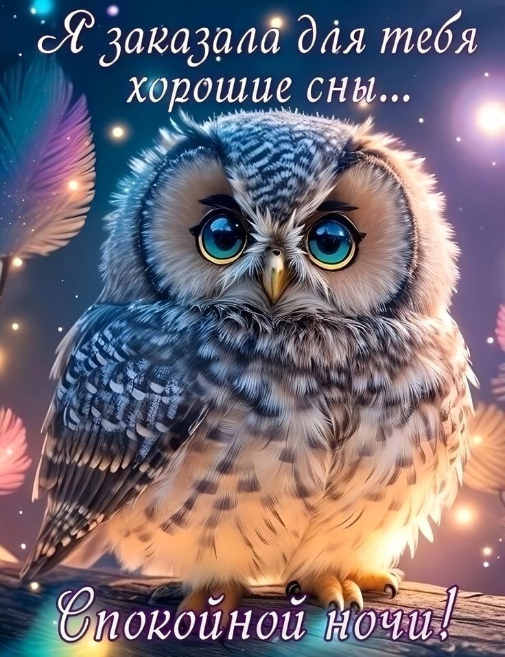 Я заказала для тебя хорошие сны...
Спокойной ночи!