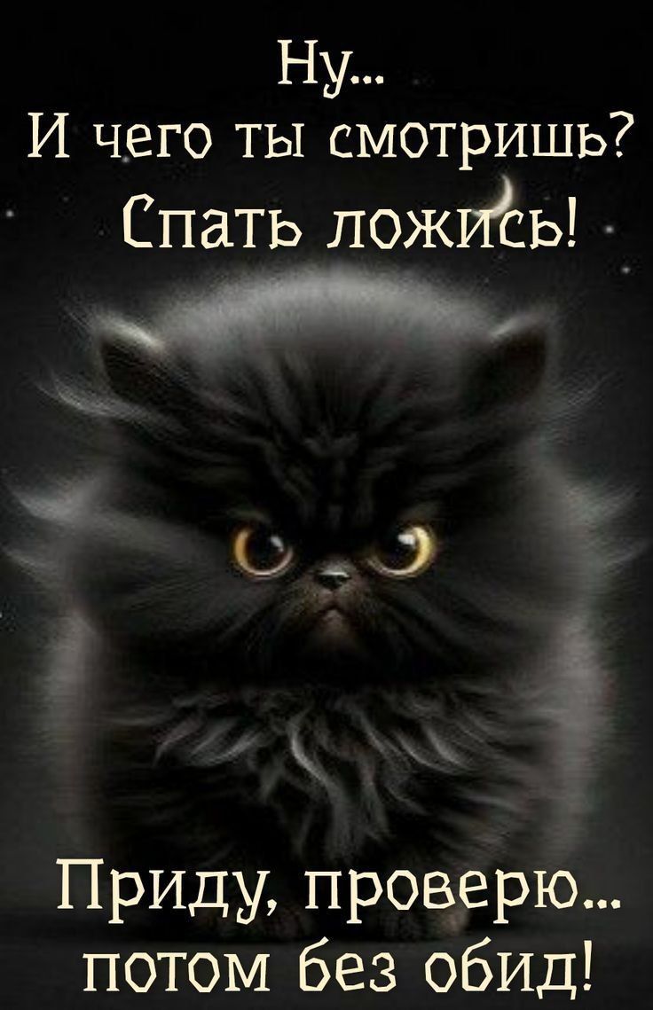 Ну... И чего ты смотришь? Спать ложись! Приду, проверю... потом без обид!
