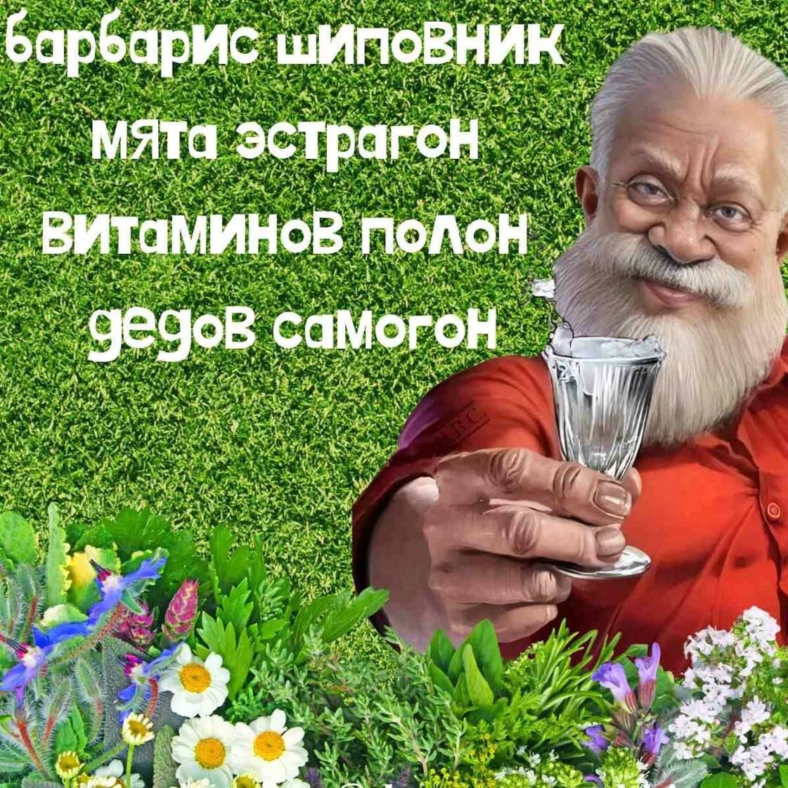 барбарис шиповник
МЯТА эстрагон
ВИТАМИНОВ полон
дедов самогон