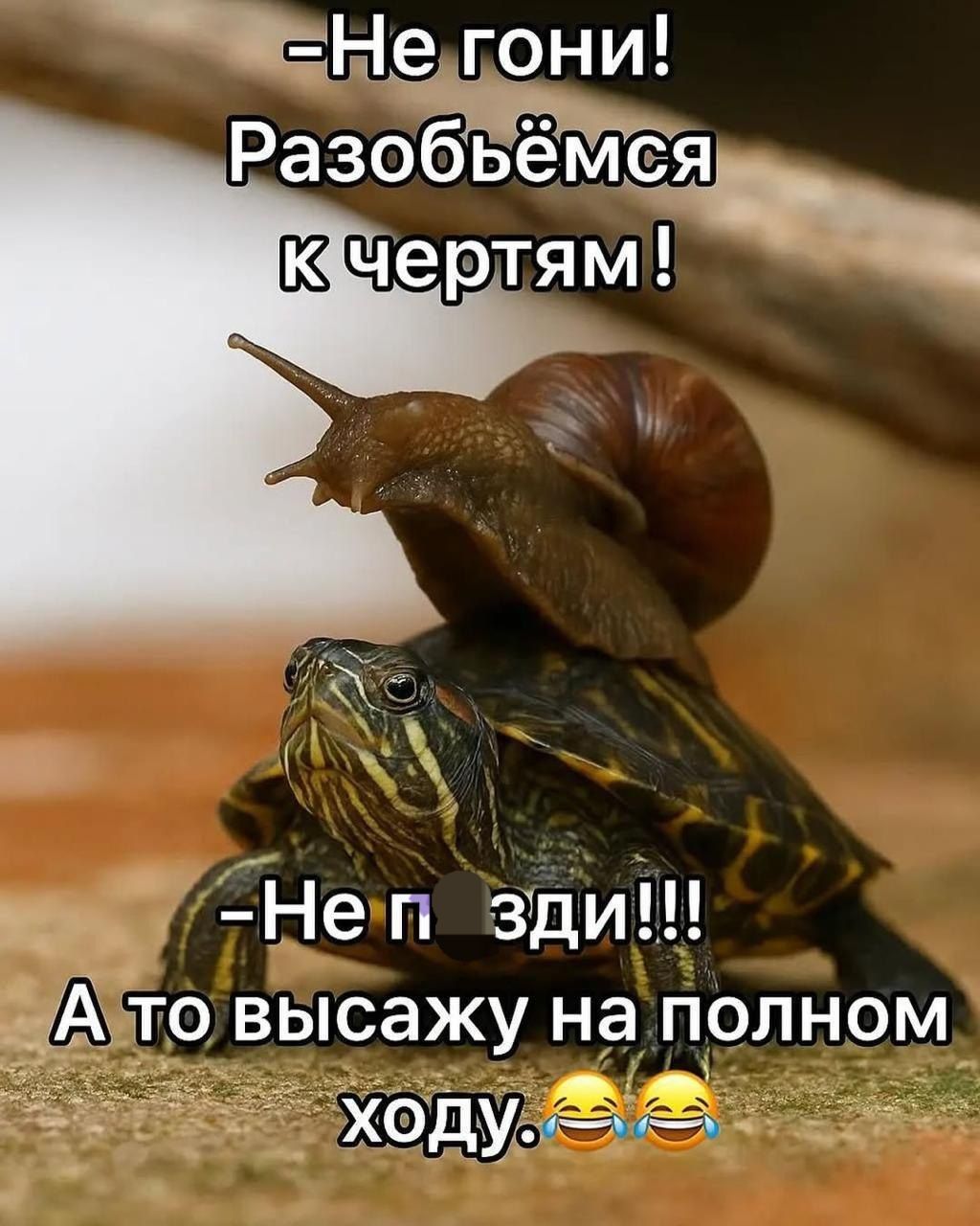 -Не гони! Разобьёмся к чёртам! 
-Не п**зди!!! А то высажу на полном ходу.😂😂