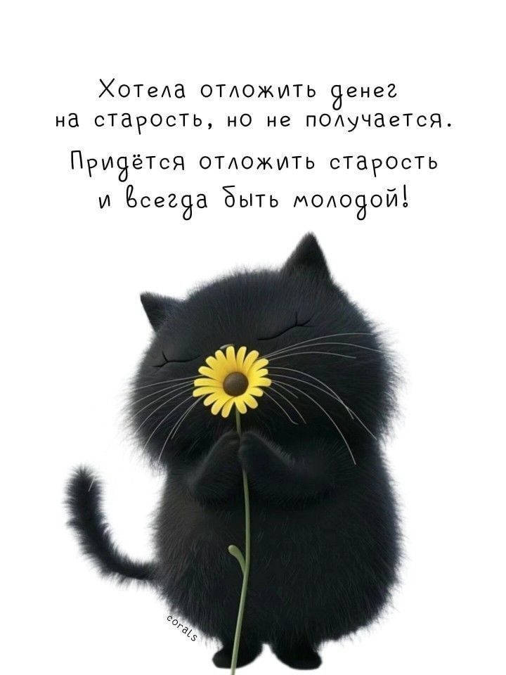 Хотела отложить денег на старость, но не получается.
Придётся отложить старость и всегда быть молодой!