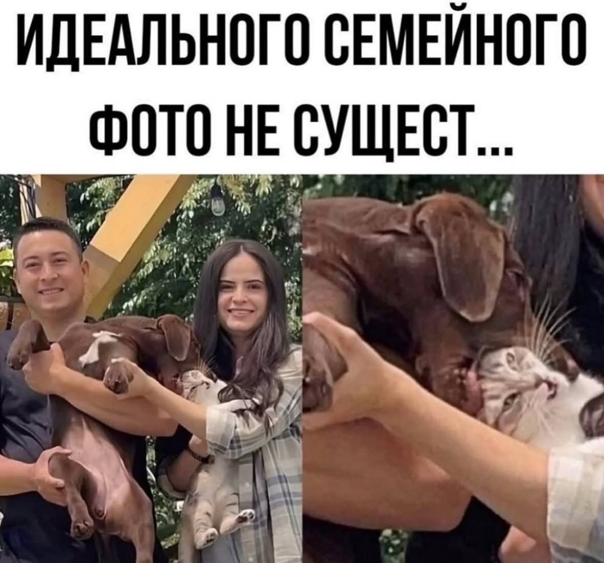 ИДЕАЛЬНОГО СЕМЕЙНОГО ФОТО НЕ СУЩЕСТ.