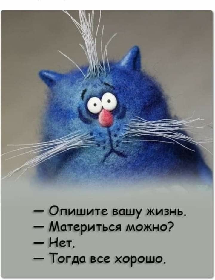 — Опишите вашу жизнь.
— Материться можно?
— Нет.
— Тогда все хорошо.