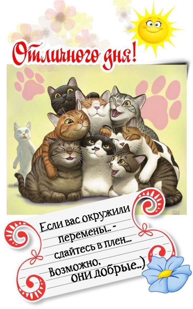 Отличного дня!
Если вас окружили перемены - сдавайтесь в плен... Возможно, они добрые...