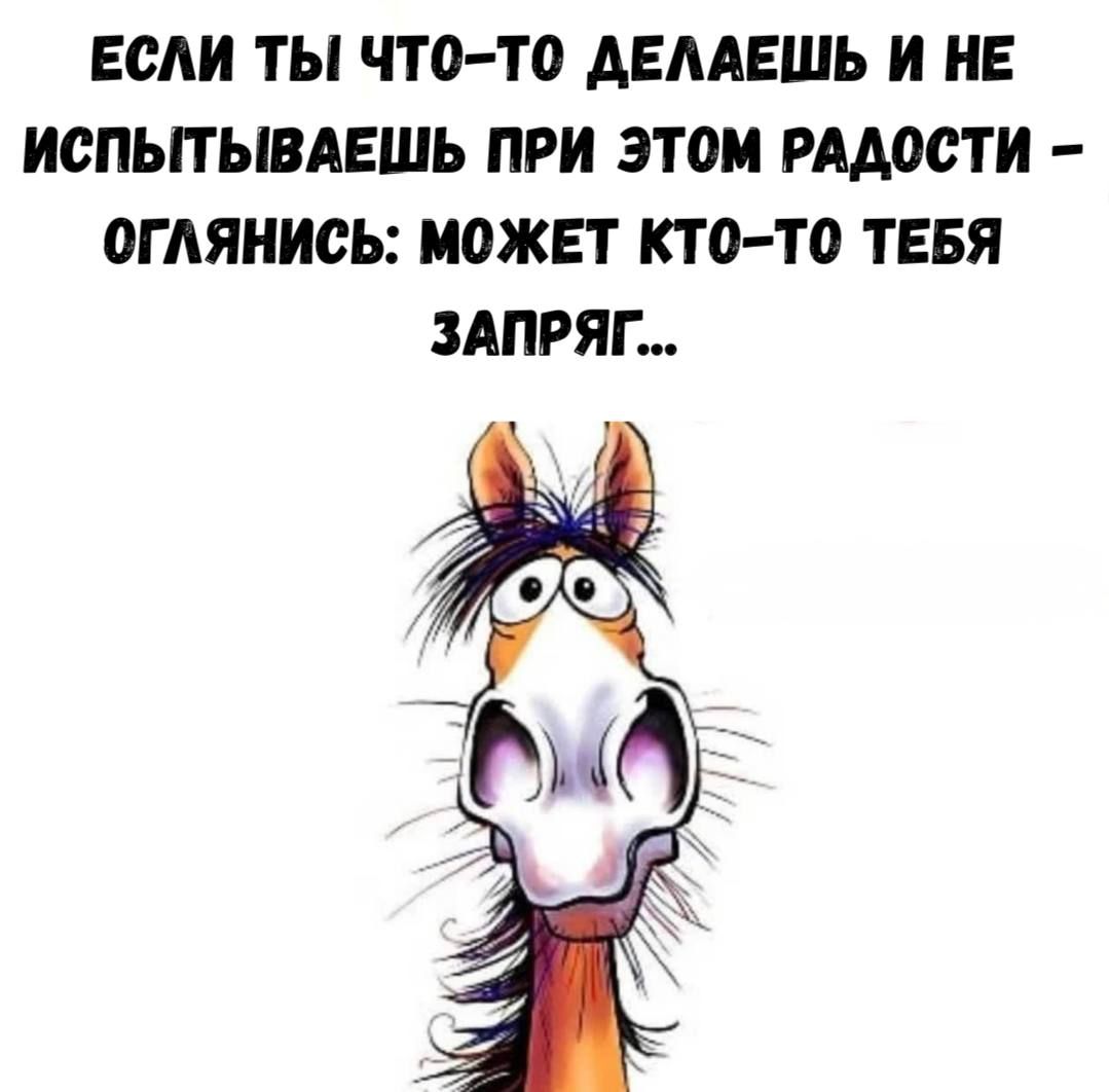 ЕСЛИ ТЫ ЧТО-ТО ДЕЛАЕШЬ И НЕ ИСПЫТЫВАЕШЬ ПРИ ЭТОМ РАДОСТИ - ОГЛЯНИСЬ: МОЖЕТ КТО-ТО ТЕБЯ ЗАПРЯГ...