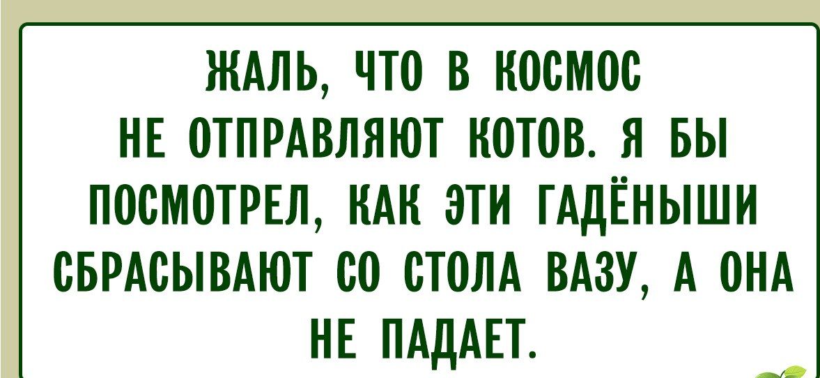 Жаль, что в космос не отправляют котов. Я бы посмотрел, как эти гадёныши сбрасывают со стола вазу, а она не падает.