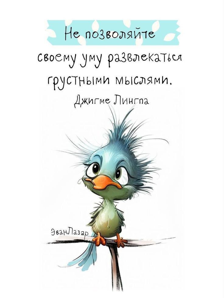 Не позволяйте своему уму развлекаться грустными мыслями.
Джигме Лингпа
Эван Лазар