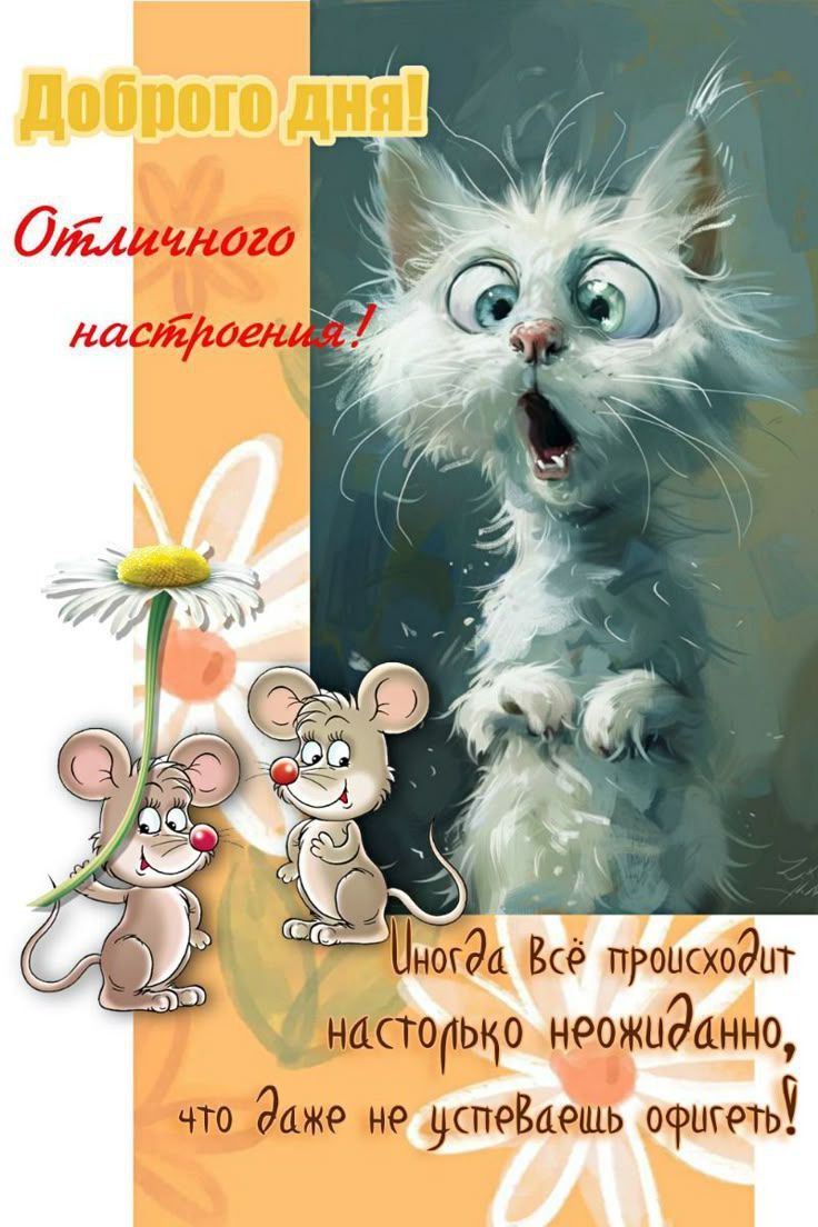 Доброе утро! Отличного настроения! Иногда всё происходит настолько неожиданно, что даже не успеваешь опередить!