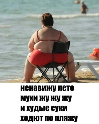ненавижу лето мухи жу жу жу и худые суки ходят по пляжу