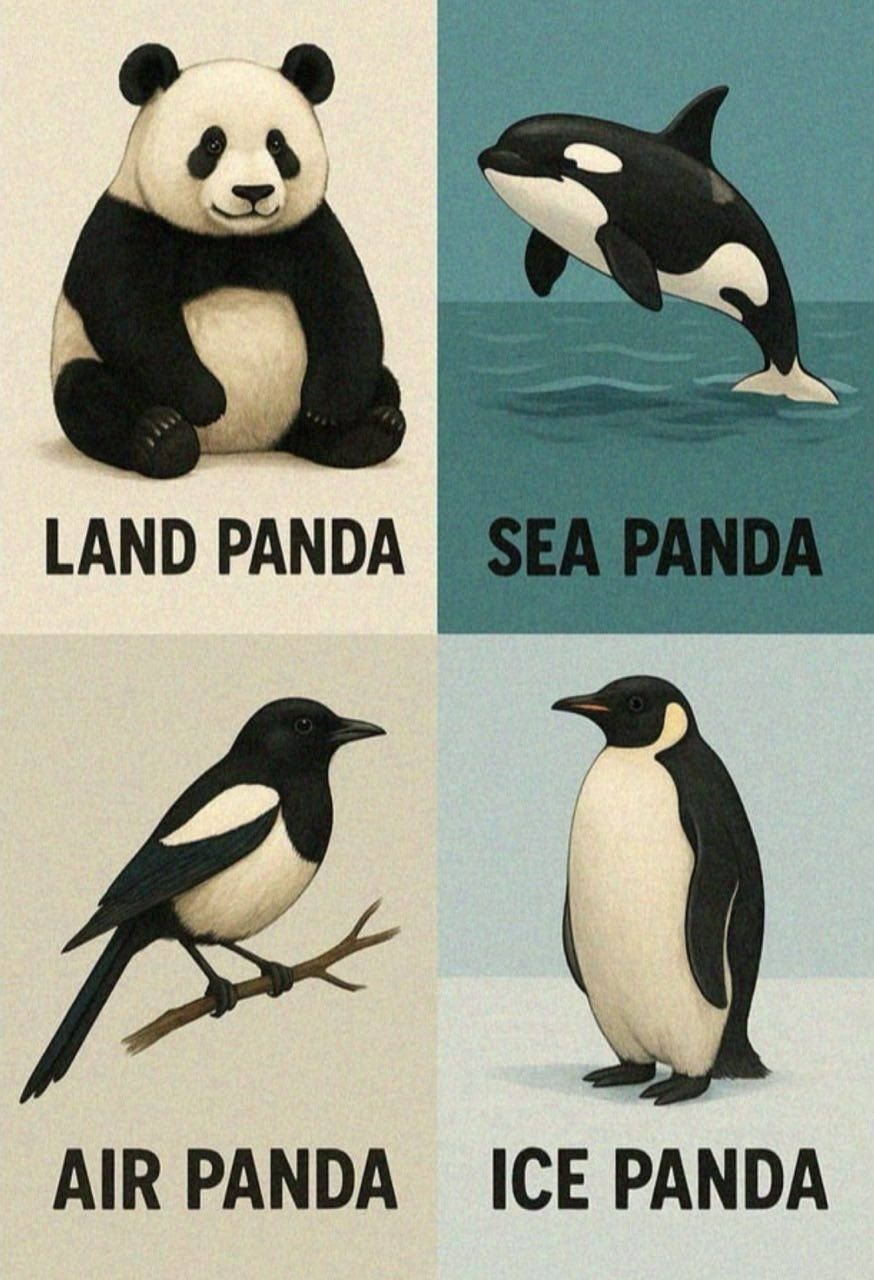 LAND PANDA
SEA PANDA
AIR PANDA
ICE PANDA