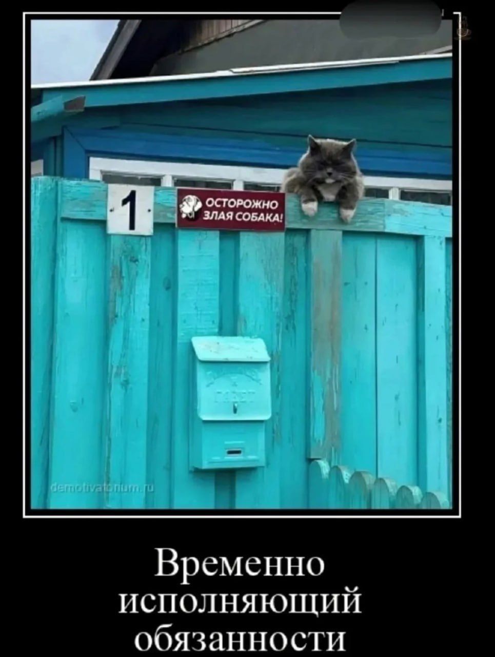 Временно исполняющий обязанности