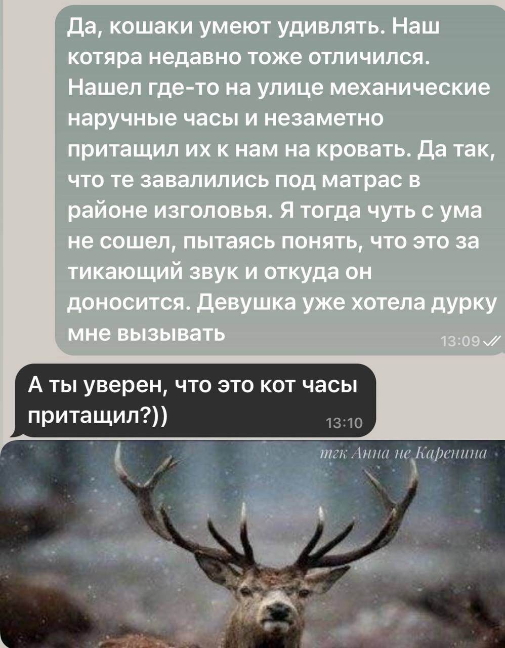 Да, кошаки умеют удивлять. Наш котяра недавно тоже отличился. Нашел где-то на улице механические наручные часы и незаметно притаскивал их к нам на кровать. Да так, что те завалились под матрас в районе изголовья. Я тогда чуть с ума не сошел, пытаясь понять, что это за тикающий звук и откуда он доносится. Девушка уже хотела дурку мне вызывать
А ты уверен, что это кот часы притасчил?))