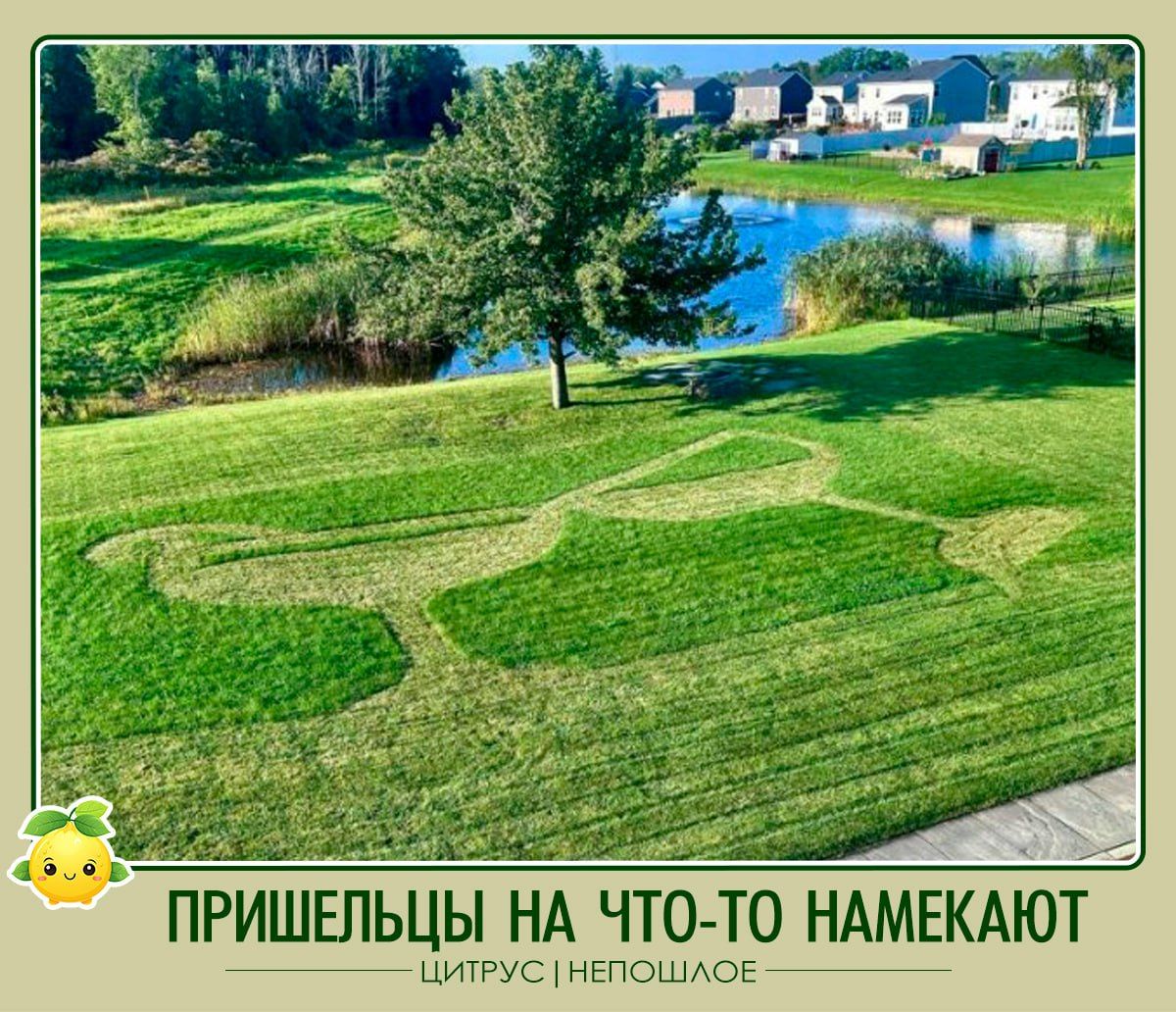 ПРИШЕЛЬЦЫ НА ЧТО-ТО НАМЕКАЮТ