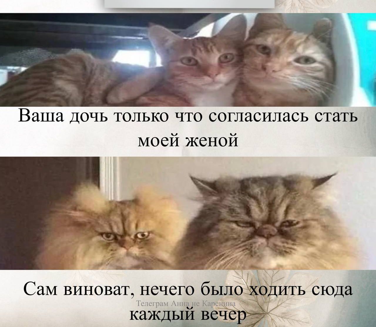 Ваша дочь только что согласилась стать моей женой
Сам виноват, нечего было ходить сюда каждый вечер
Телеграм Анжела Капорелли