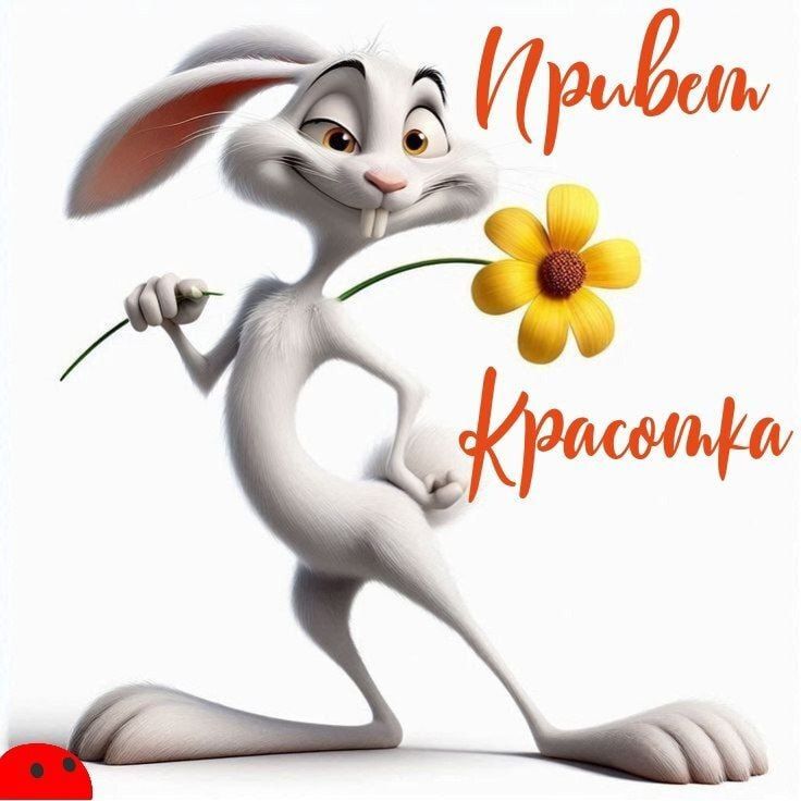 Привет Красотка