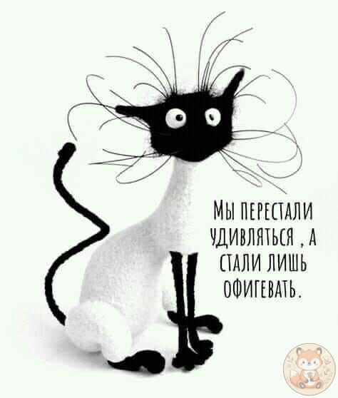 Мы перестали удивляться, а стали лишь офигевать.