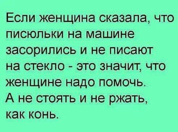 Если женщина сказала, что писюльки на машине засорились и не пишают на стекло - это значит, что женщине надо помочь. А не стоять и не ржать, как конь.