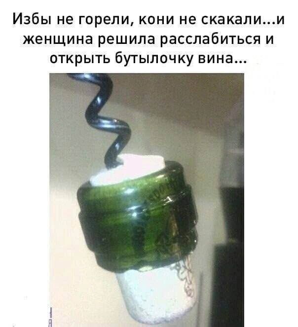 Избы не горели, кони не скакали... и женщина решила расслабиться и открыть бутылочку вина...