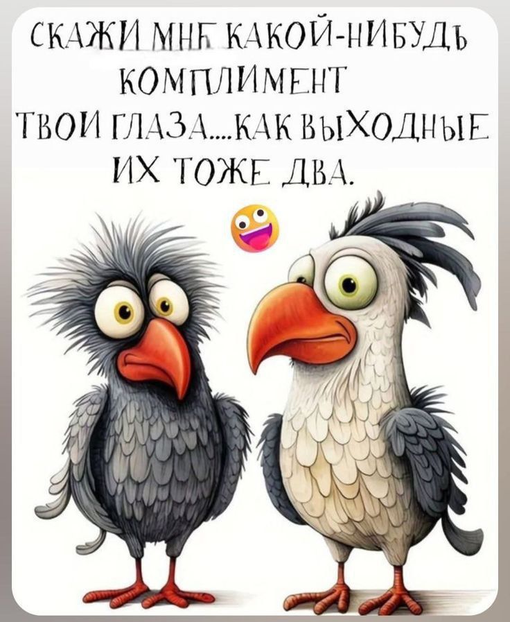 СКАЖИ МНЕ КАКОЙ-НИБУДЬ КОМПЛИМЕНТ ТВОИ ГЛАЗА... КАК ВЫХОДНЫЕ ИХ ТОЖЕ ДВА.