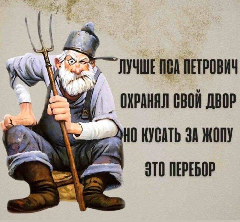ЛУЧШЕ ПСА ПЕТРОВИЧ ОХРАНЯЛ СВОЙ ДВОР НО КУСАТЬ ЗА ЖОПУ ЭТО ПЕРЕБОР