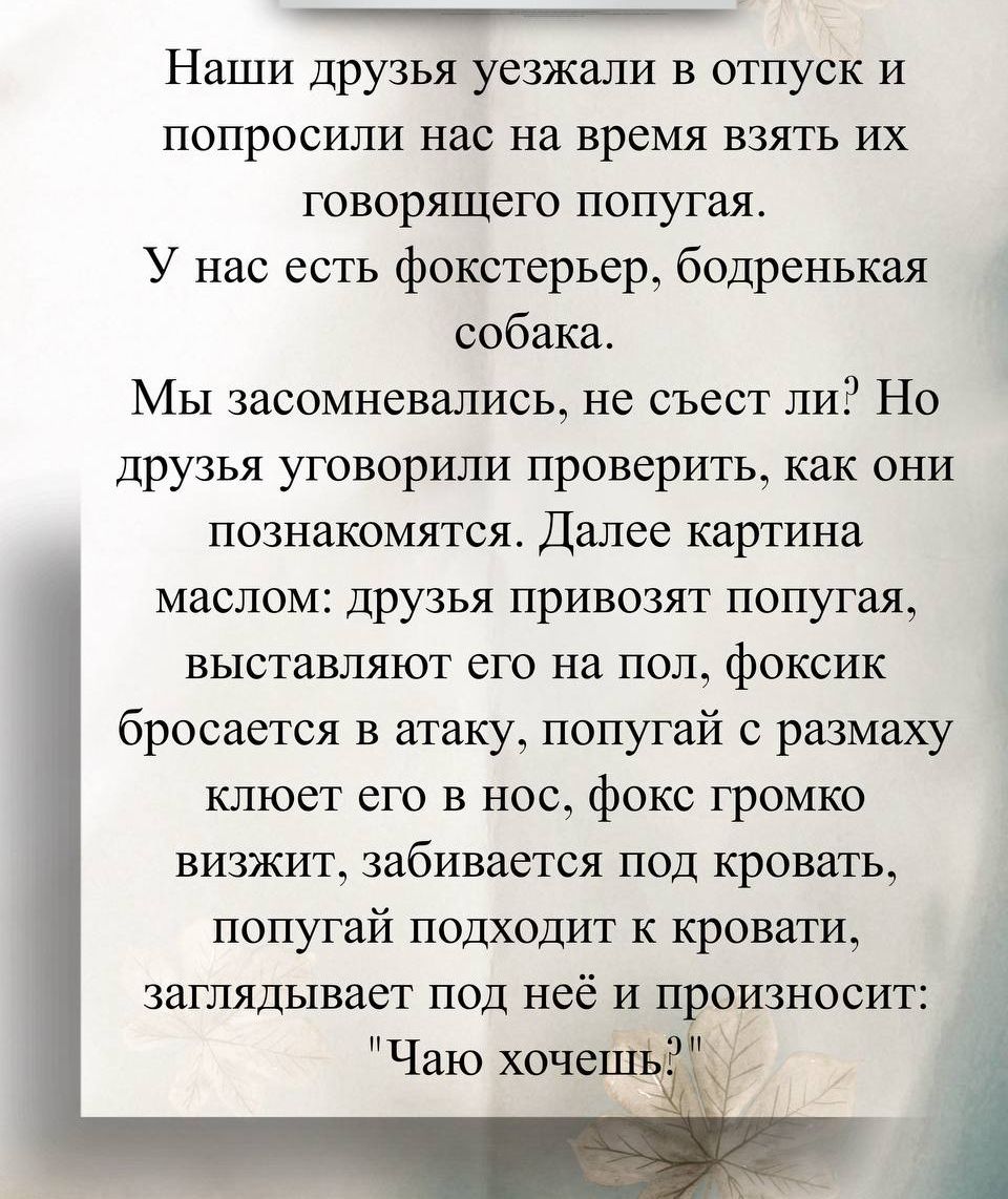 Наши друзья уезжали в отпуск и попросили нас на время взять их говорящего попугая. У нас есть фокстерьер, бодренкая собака.

Мы засомневались, не съест ли? Но друзья уговорили проверить, как они познакомятся. Далее картина маслом: друзья привозят попугая, выставляют его на пол, фоксик бросается в атаку, попугай с размахом клеет его в нос, фокс громко визжит, забивается под кровать, попугай подходит к кровати, заглядывает под неё и произносит: 