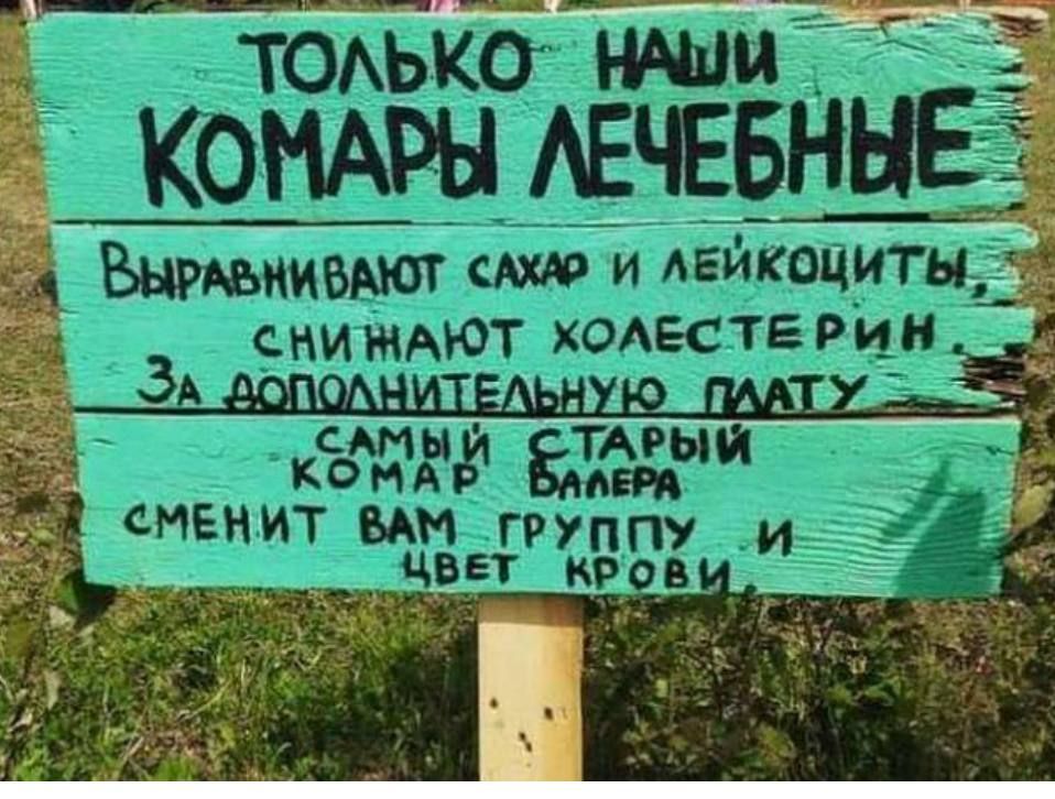 ТОЛЬКО НАШИ
КОМАРЫ ЛЕЧЕБНЫЕ
ВЫРАВНИВАЮТ САХАР И ЛЕЙКОЦИТЫ,
СНИЖАЮТ ХОЛЕСТЕРИН
ЗА ДОПОЛНИТЕЛЬНУЮ ПЛАТУ
САМЫЙ СТАРЫЙ
КОМАР ВАЛЕРА
СМЕНИТ ВАМ ГРУППУ И
ЦВЕТ КРОВИ