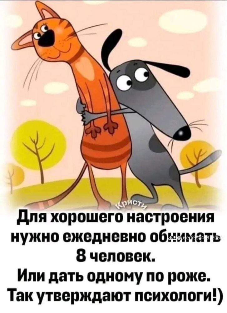 Для хорошего настроения нужно ежедневно обниматься 8 человек. Или дать одному по роже. Так утверждают психологи!)