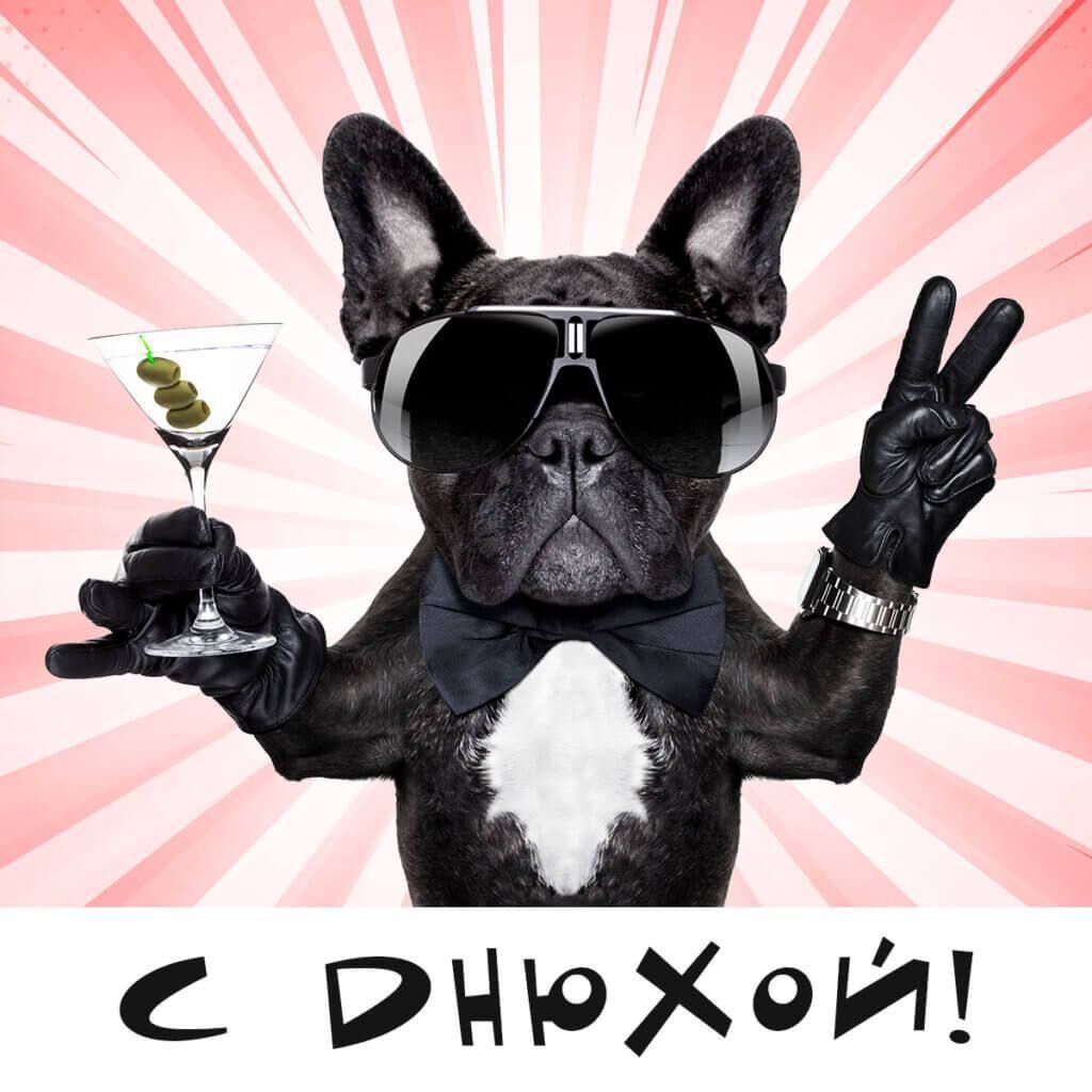 С ДНЮХОЙ!