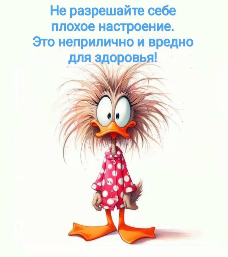 Не разрешайте себе плохое настроение. Это неприлично и вредно для здоровья!