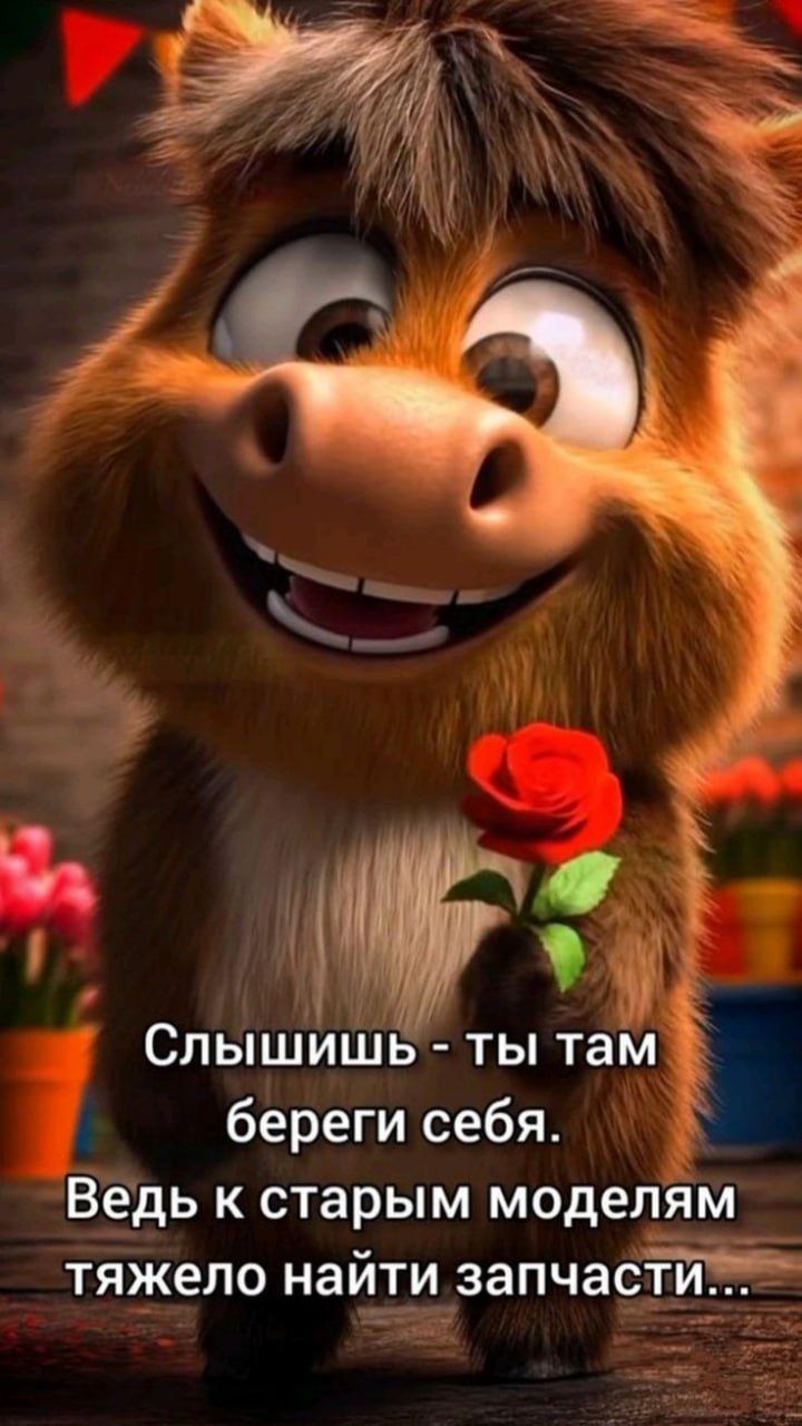 Слышь - ты там береги себя. Ведь к старым моделям тяжело найти запчасти...