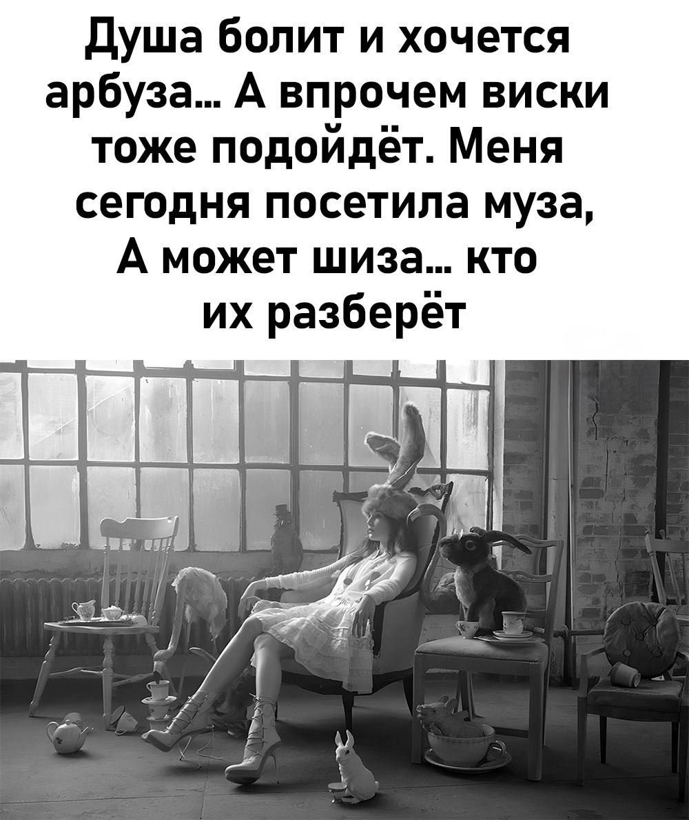 Душа болит и хочется арбуза… А впрочем виски тоже подойдёт. Меня сегодня посетила муза, А может шиза… кто их разберёт