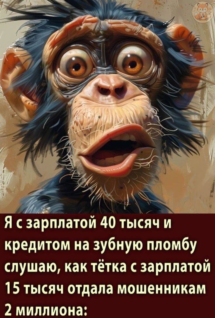 Я с зарплатой 40 тысяч и кредитом на зубную пломбу слушаю, как тётка с зарплатой 15 тысяч отдала мошенникам 2 миллиона: