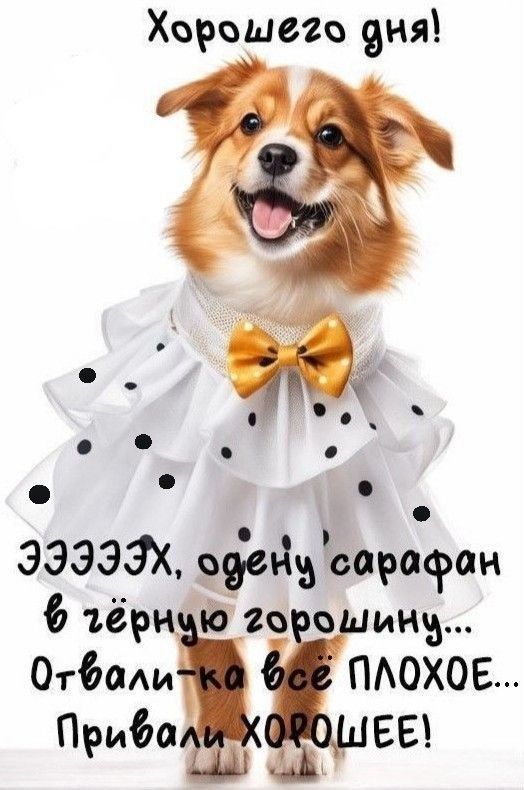 Хорошего дня! ЭЭЭЭХ, одену сарафан в жёрную горошину... Отвали-ка всё ПЛОХОЕ... Привали ХОРОШЕЕ!