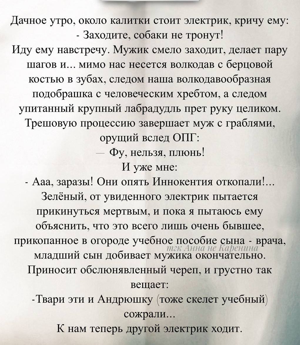 Давноe утро, около калитки стоит электрик, кричу ему:
- Заходите, собаки не тронут!
Иду ему навстречу. Мужик смело заходит, делает пару шагов и… мимо нас несется волкодав с бердюковским костюмом в зубах, следом наша волкодавообразная подобрашка с человеческим хребтом, а следом упитанный крупный лабрадудль прет руку целиком.
Трепещу процессом завершают муж с грибами, орущий вслед ОП:
- Фу, нельзя, пильон!
И уже мне:
- Ааа, зараза! Они опять Иннокентия отколопали!...
Зеленый, тот, увиденного электрик пытается прикрыть предметами, но нифига не получается...
Оно в голове уже только лишь весит об обстоятельства.
Приклоняю голову, ясно бросаюсь ворчаньем.
Принцип обоснованный, лишь кстати вещает:
- Твари эти и Андрюшка вместе скелет учебный сохранят...
К нам теперь другой электрик ходит.