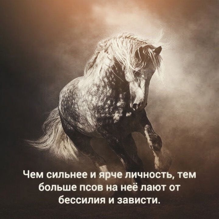 Чем сильнее и ярче личность, тем больше псов на неё лают от бессилия и зависти.