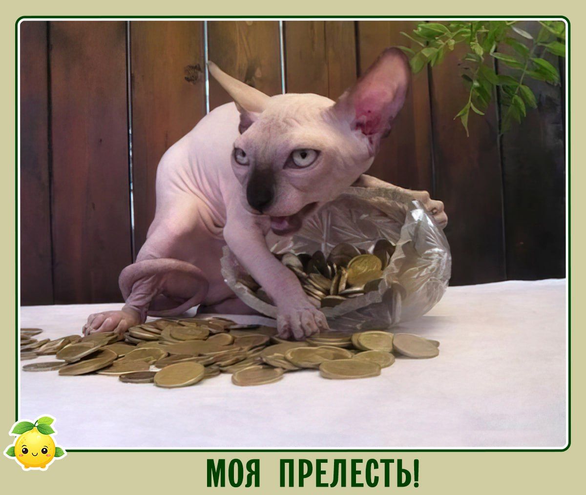МОЯ ПРЕЛЕСТЬ!