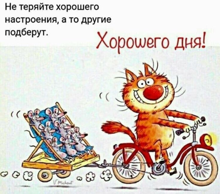 Не теряйте хорошего настроения, а то другие подберут. Хорошего дня!