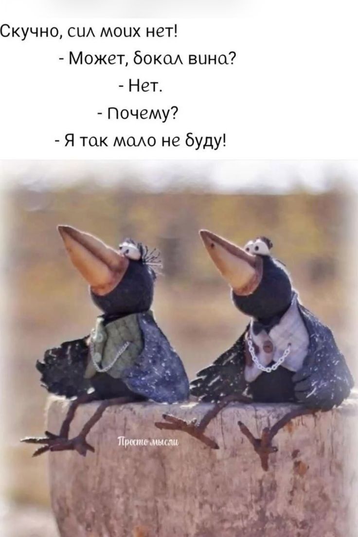 Скучно, сил моих нет!
- Может, бокал вина?
- Нет.
- Почему?
- Я так мало не буду!