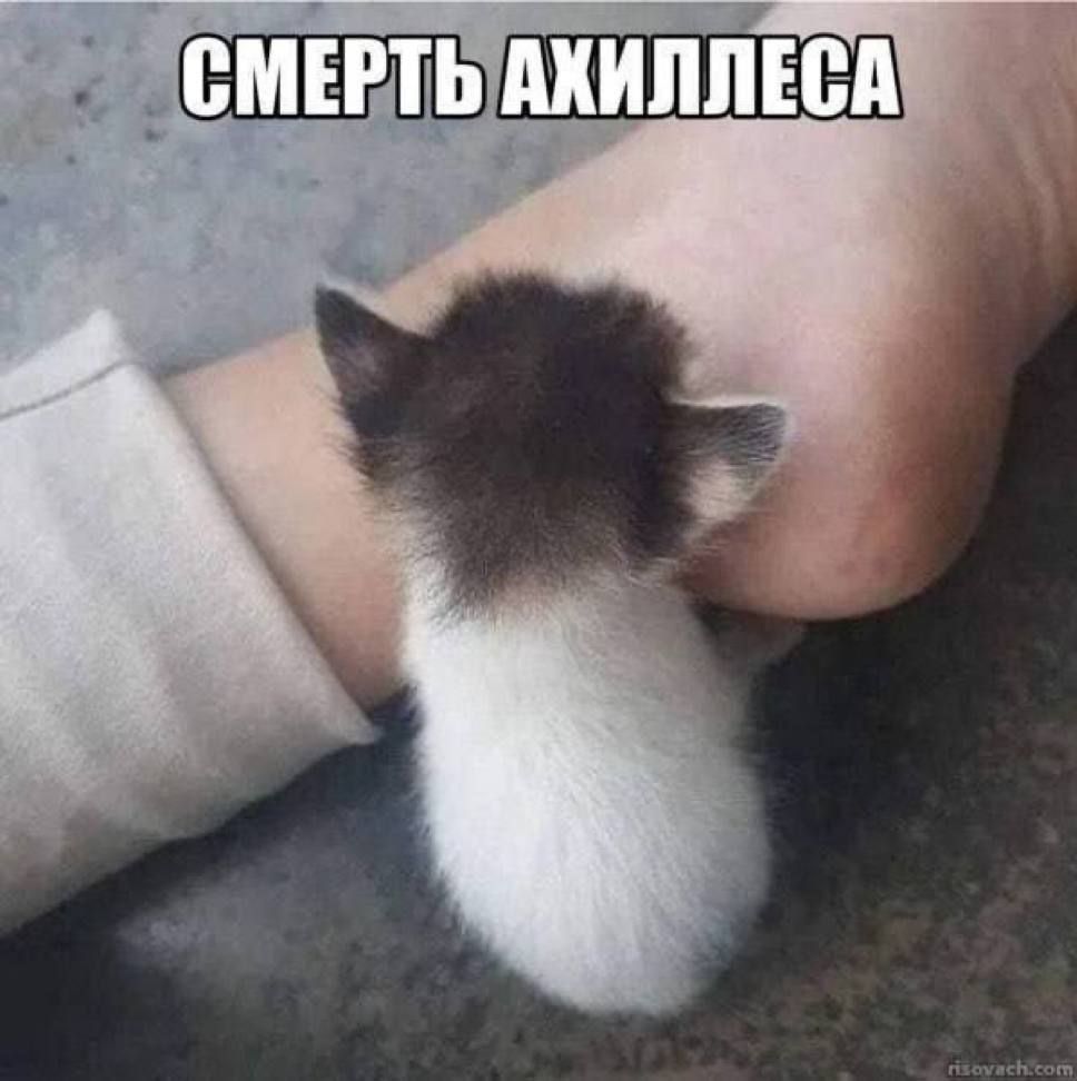 СМЕРТЬ АХИЛЛЕСА