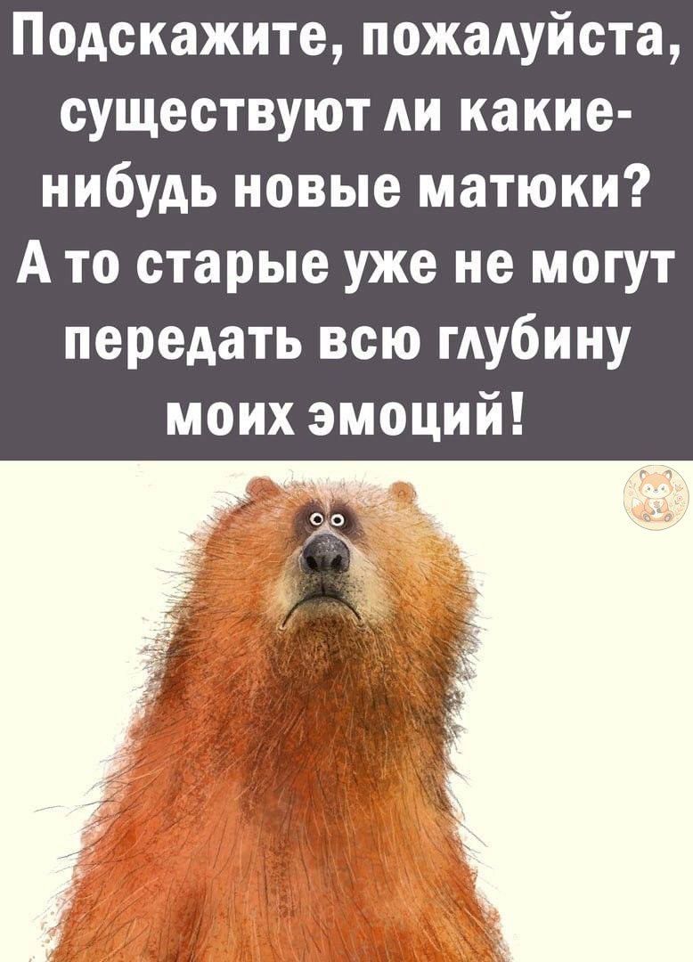 Подскажите, пожалуйста, существуют ли какие-либо новые матюки? А то старые уже не могут передать всю глубину моих эмоций!