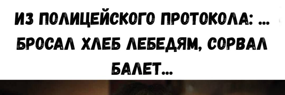 ИЗ ПОЛИЦЕЙСКОГО ПРОТОКОЛА: ... БРОСАЛ ХЛЕБ ЛЕБЕДЯМ, СОРВАЛ БАЛЕТ...