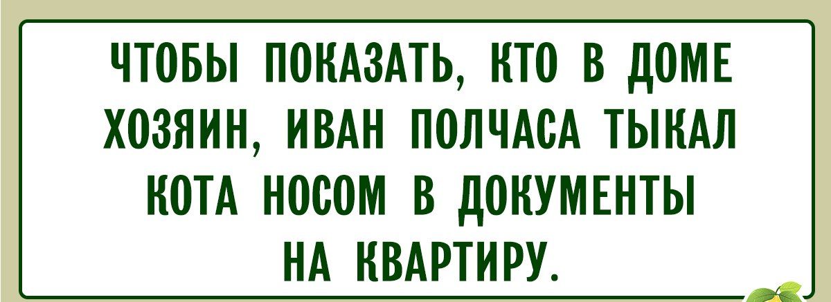 ЧТОБЫ ПОКАЗАТЬ, КТО В ДОМЕ ХОЗЯИН, ИВАН ПОЛЧАСА ТЫКАЛ КОТА НОСОМ В ДОКУМЕНТЫ НА КВАРТИРУ.